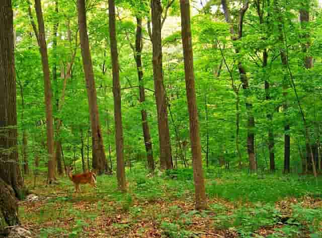 蔡嘉珍成功獲得註冊理財規劃師資格