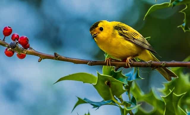 大学毕业后要去上班吗