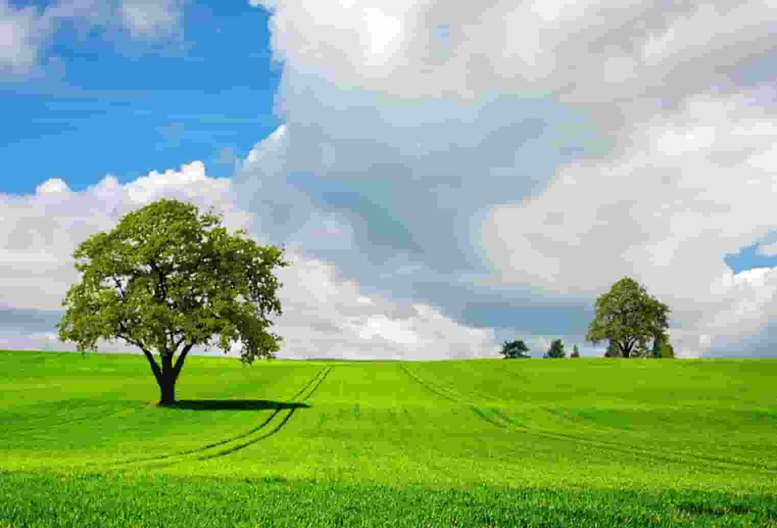 新闻采用的技术