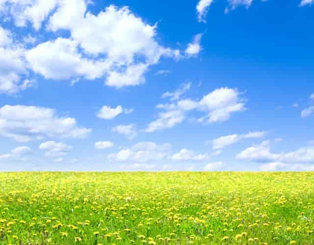 已经连续办16年的《亚洲音乐节》，公布出演韩团、爱豆名单！