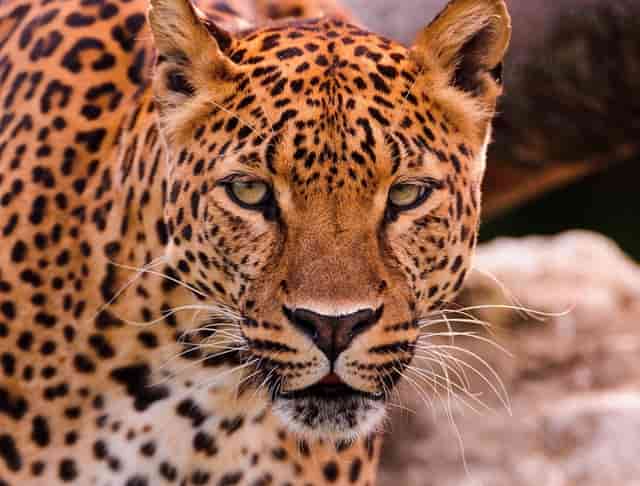 公积金提取了怎么办理