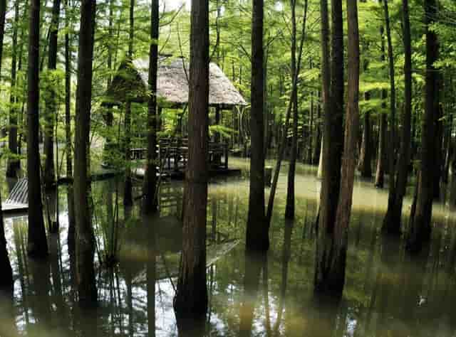 暑假旅游必去的十个景点