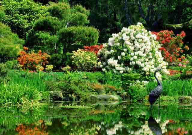 二手烟对胎儿的危害