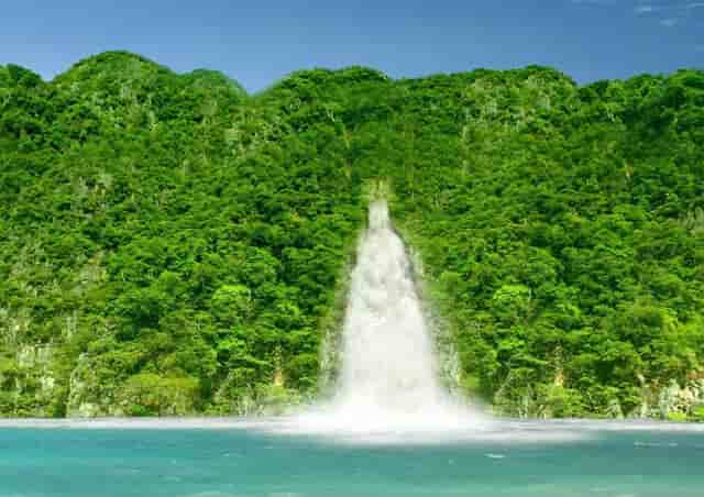 袖虎病猫攻略：猫咪发情会持续多久？