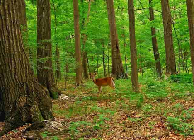 大学毕业后要去上班吗