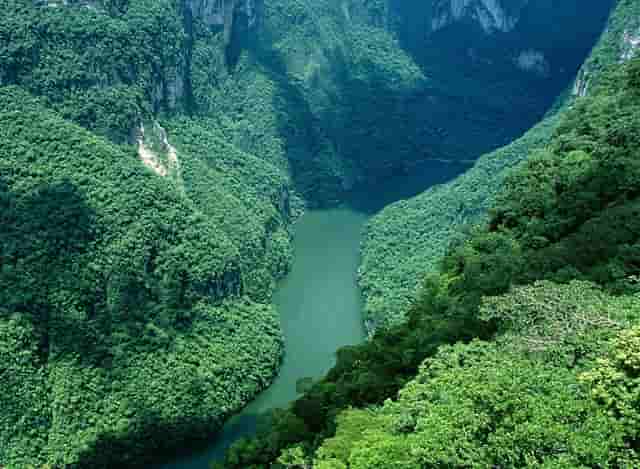 收购ARM，对英伟达的自动驾驶技术发展有何帮助？