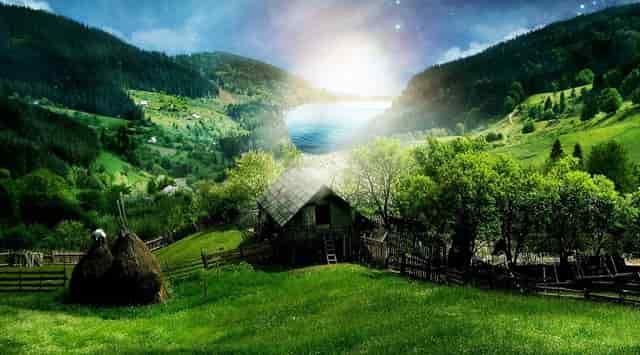 袖虎病猫攻略：泪痕重的就是病猫吗？