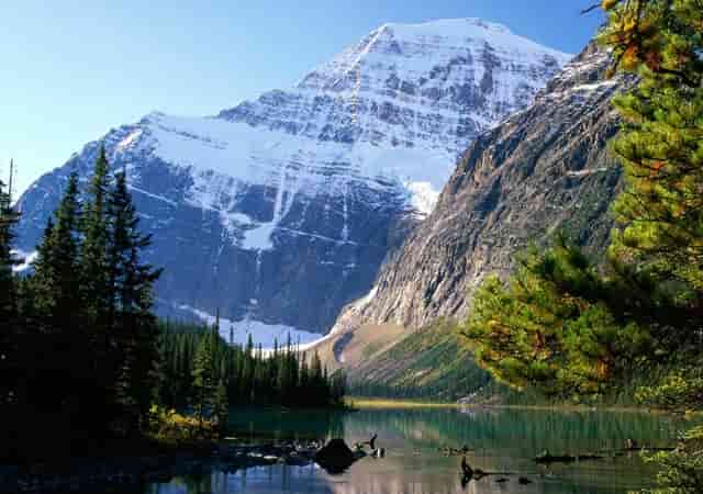 产后5个月流褐色的东西