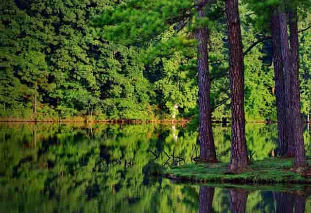 情感每日一封信：如何俘获已婚女士心