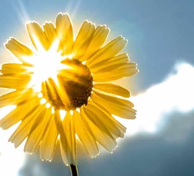 有新冠疫苗口罩吗