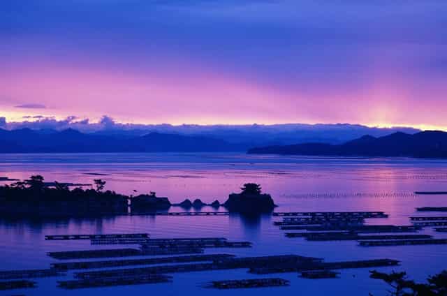 音乐剧《乳香飘（暂定名）》研讨会在内蒙古文联召开