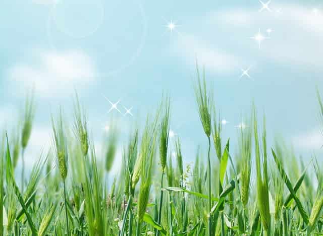 英国报道梅根视频(英国王妃梅根演讲视频)