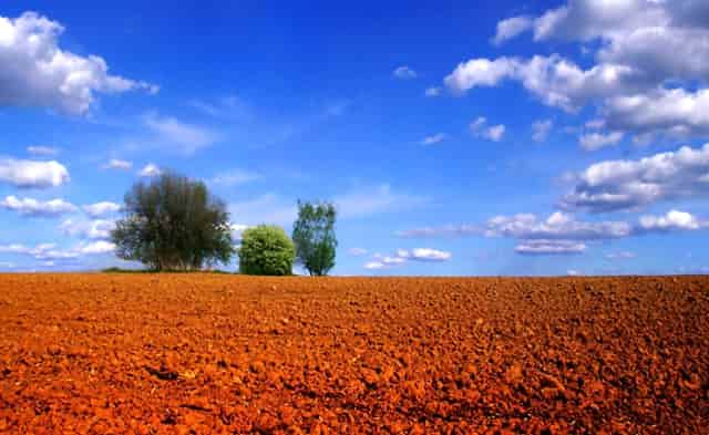 高考不应该成为