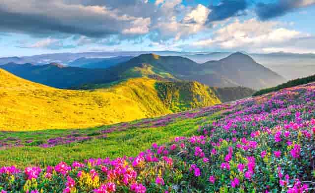 月饼是吃甜的，还是咸的？提醒：中秋将至，若这样吃可能自找麻烦