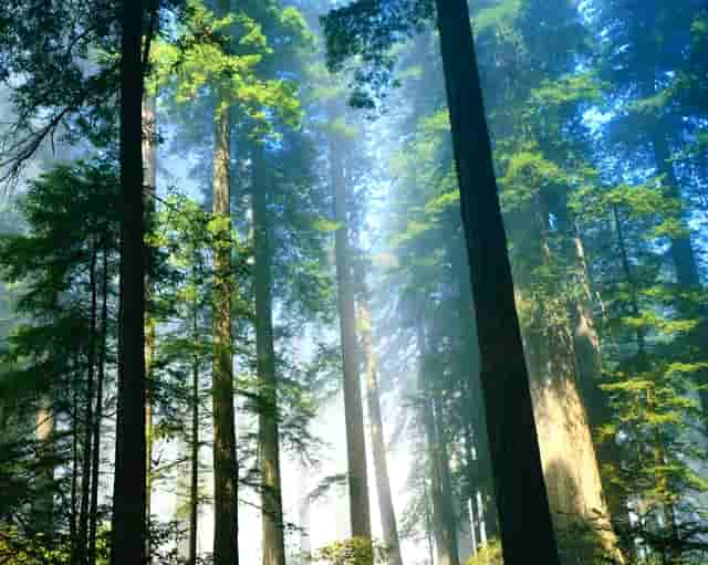 袖虎知识库：这个东西看似没用，实则少不了