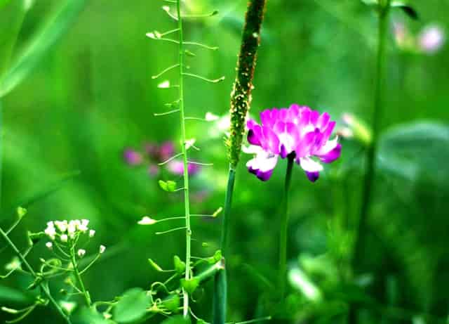 佛山集团电话交换机销售安装