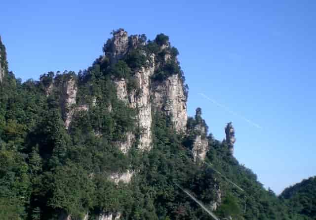 袖虎应对狗狗掉毛多的麻烦