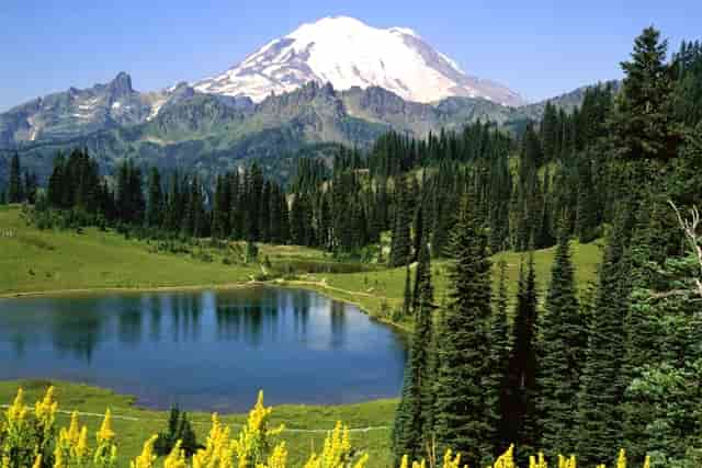 袖虎病狗攻略：狗身上碰不得的7个地方，小心无知被狗咬