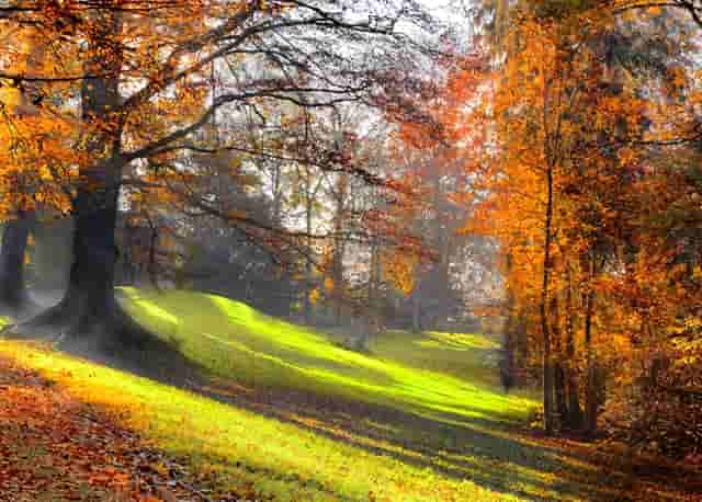 2021年哪月份迁坟比较好