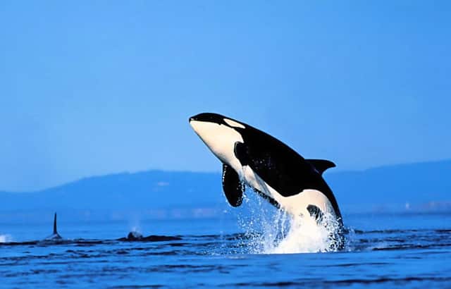 新能源电池贵有意义吗(新能源电池贵不贵)