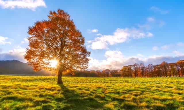 天气丹的防伪码在哪里
