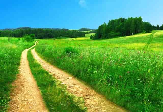 猫毛会被人类吸入肺部吗？袖虎告诉你靠谱！