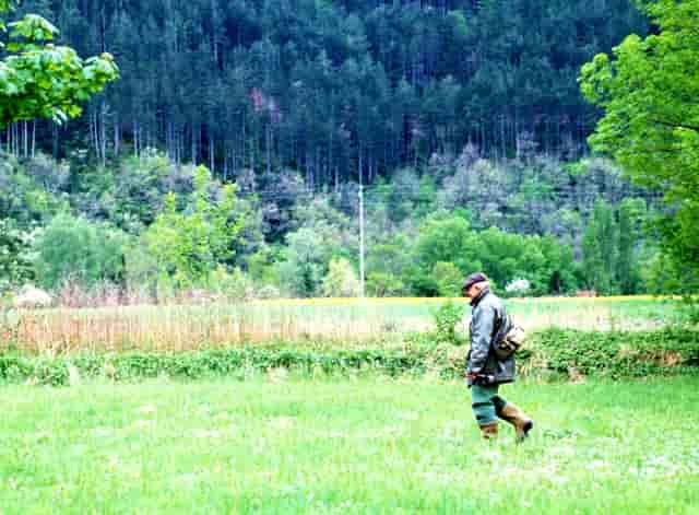 刘亦菲也太爱西装了吧，怎么搭都好有气质，穿上就成直角肩
