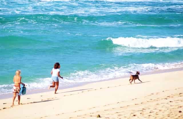 捷豹路虎采用塑料垃圾制豪华汽车内饰 降低碳排放