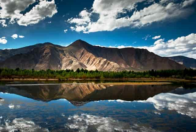 袖虎病猫攻略：猫咪肠梗阻的症状