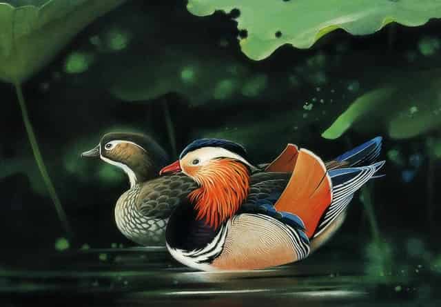 高考志愿填报是在学校填志愿吗