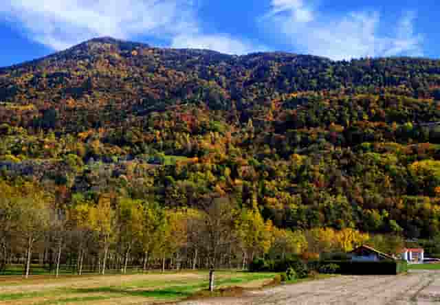 比亚迪上半年新车销量首进全球前十