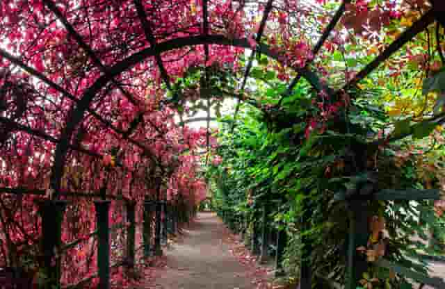 失业救济人员(美国申请失业救济的条件)