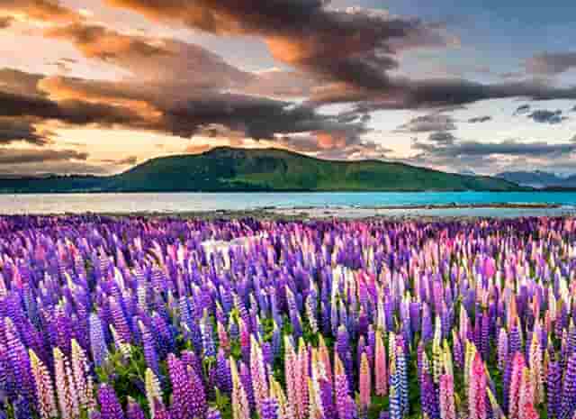 时尚大连赶海技巧(大连赶海技巧怎么知道有货)