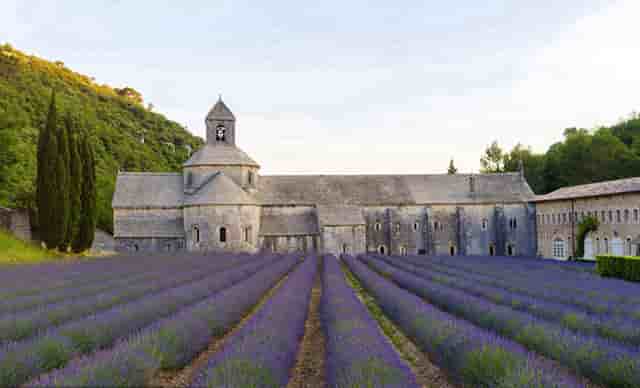 单针打疫苗会怎样(单针疫苗什么时候能打)