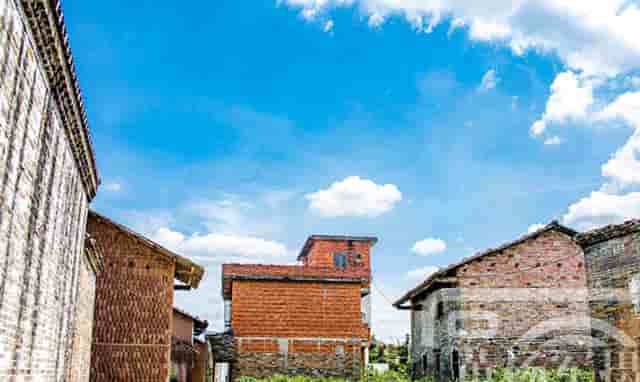 公安机关有警察吗(公安机关录用警察政审)