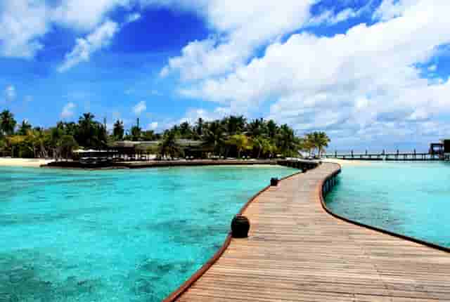 袖虎宠物攻略：猫咪突然过于反应激烈是怎么回事？