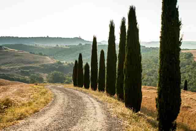 辽宁红河峡谷漂流旅游遭不公待遇 始作俑者遭调离
