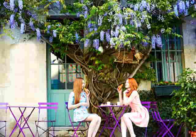 袖虎病猫攻略：猫多大可以配种？