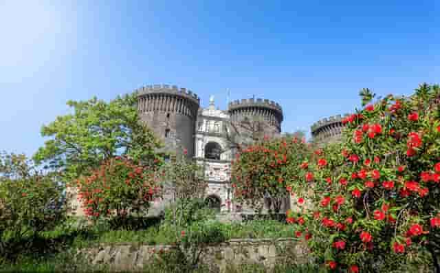 紧急启动全员核酸检测(启动全员核酸检测的条件)