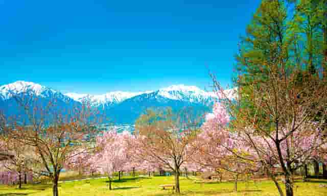 袖虎病猫攻略：猫咪睡姿的含义