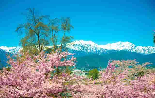 中国女篮加时赛完整视频