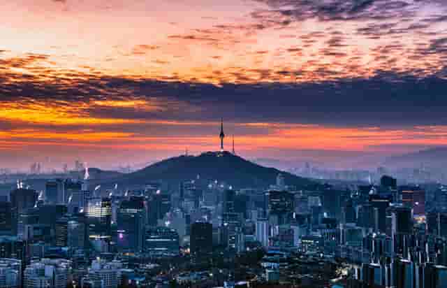 袖虎宠物店揭秘行业骗局：开宠物店有没有暴利？(1)