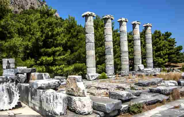 知乎携手京东、品牌商家，共创 11.11 家电家居消费指南