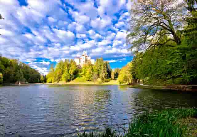 袖虎病猫攻略：猫咪体内寄生虫，养猫的你必须认得