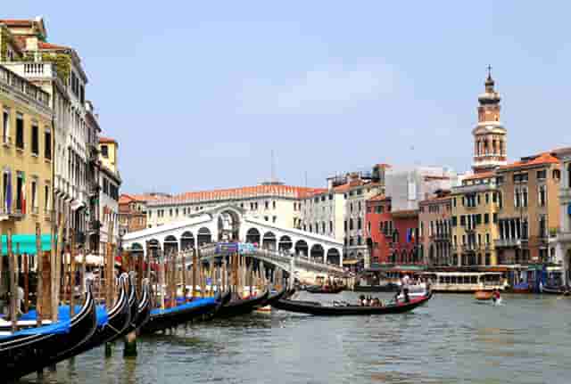 袖虎病猫攻略：猫咪突然不吃东西，很可能是这个原因