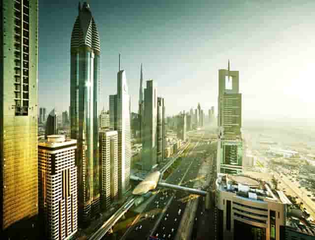 袖虎病猫攻略：为什么要给猫做绝育