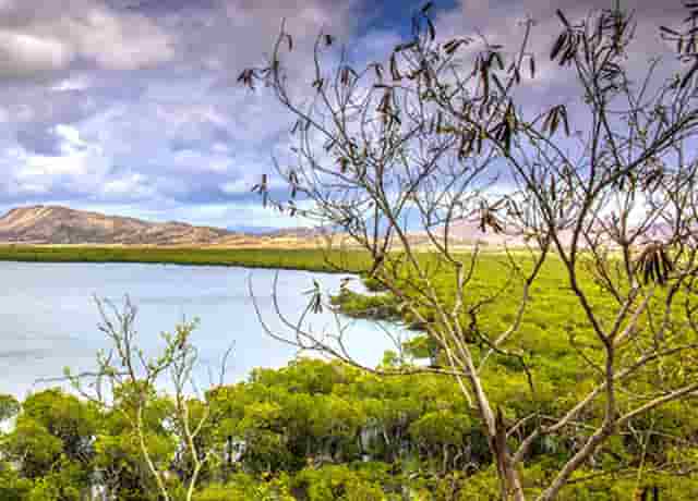 20人被锡林浩特市检察院提起公诉！