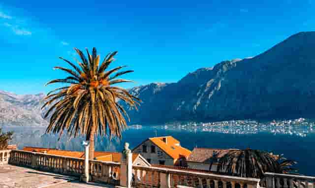 加盟热潮，袖虎宠物带你挣大钱！