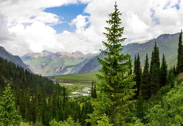 袖虎宠物店留客的那些套路