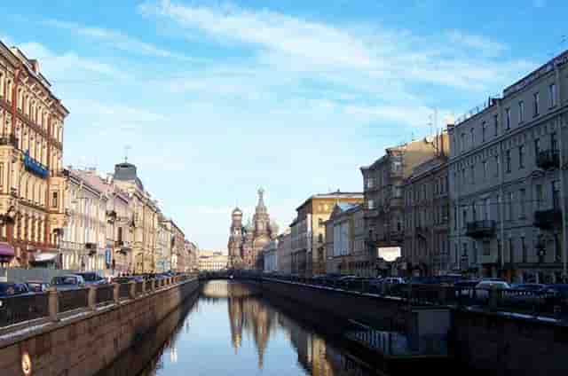 袖虎病猫攻略：猫眼睛无神？不是对你不满，很可能是少了这个